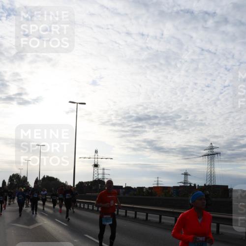 03.10.2024 - Köhlbrandbrückenlauf Miley Keyser http://msf.ph/oto/7156291 03.10.2024 09:13:55 Position 3 1205, 333 meine-sportfotos.de