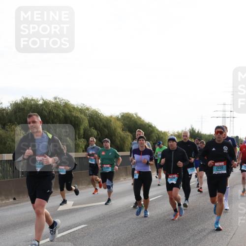 03.10.2024 - Köhlbrandbrückenlauf Miley Keyser http://msf.ph/oto/7156675 03.10.2024 09:15:18 Position 3 364, 1497, 1676, 2220 meine-sportfotos.de