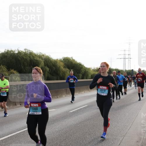 03.10.2024 - Köhlbrandbrückenlauf Miley Keyser http://msf.ph/oto/7156821 03.10.2024 09:15:38 Position 3 2062, 1560, 2079 meine-sportfotos.de