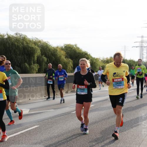 03.10.2024 - Köhlbrandbrückenlauf Miley Keyser http://msf.ph/oto/7156995 03.10.2024 09:16:03 Position 3 1842, 1485, 2840, 2439, 1574 meine-sportfotos.de