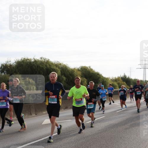 03.10.2024 - Köhlbrandbrückenlauf Miley Keyser http://msf.ph/oto/7157379 03.10.2024 09:16:59 Position 3 1925, 1801, 1727, 1643, 1464, 2017, 1610 meine-sportfotos.de