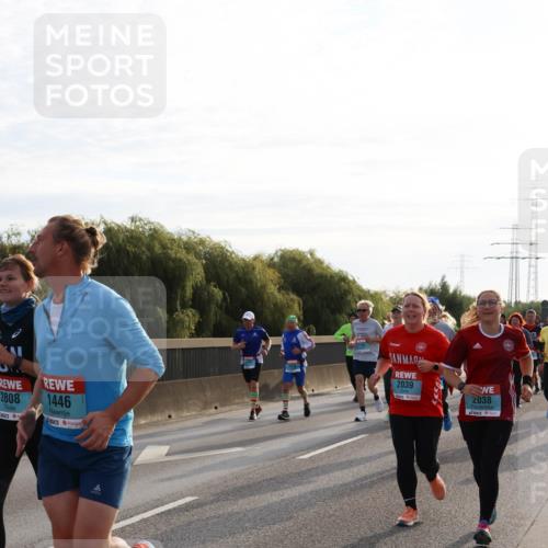 03.10.2024 - Köhlbrandbrückenlauf Miley Keyser http://msf.ph/oto/7157486 03.10.2024 09:17:17 Position 3 2808, 1446, 2039, 2038 meine-sportfotos.de