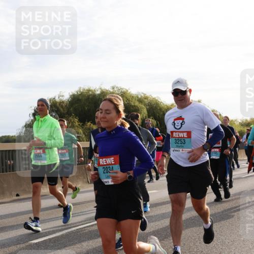 03.10.2024 - Köhlbrandbrückenlauf Miley Keyser http://msf.ph/oto/7157802 03.10.2024 09:18:53 Position 3 2664, 2021, 2034, 3253, 2765 meine-sportfotos.de