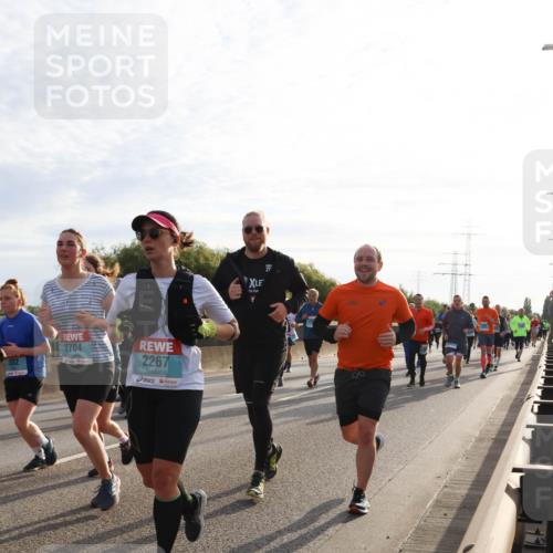 03.10.2024 - Köhlbrandbrückenlauf Miley Keyser http://msf.ph/oto/7157952 03.10.2024 09:19:47 Position 3 2332, 2704, 2267 meine-sportfotos.de