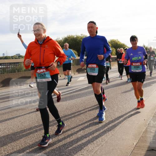 03.10.2024 - Köhlbrandbrückenlauf Miley Keyser http://msf.ph/oto/7158198 03.10.2024 09:21:02 Position 3 3, 2269, 1530, 3394 meine-sportfotos.de
