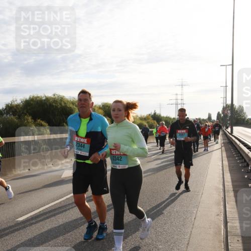 03.10.2024 - Köhlbrandbrückenlauf Miley Keyser http://msf.ph/oto/7158421 03.10.2024 09:22:13 Position 3 2344, 2342, 3567 meine-sportfotos.de
