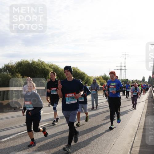 03.10.2024 - Köhlbrandbrückenlauf Miley Keyser http://msf.ph/oto/7158573 03.10.2024 09:23:07 Position 3 3710, 3669, 3706, 3705, 1275 meine-sportfotos.de