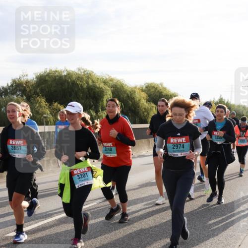 03.10.2024 - Köhlbrandbrückenlauf Miley Keyser http://msf.ph/oto/7158669 03.10.2024 09:23:32 Position 3 3657, 3201, 3240, 2974, 3355, 3302 meine-sportfotos.de