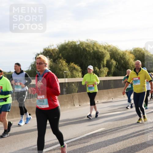 03.10.2024 - Köhlbrandbrückenlauf Miley Keyser http://msf.ph/oto/7158703 03.10.2024 09:23:41 Position 3 3348, 2898, 3533, 2495 meine-sportfotos.de