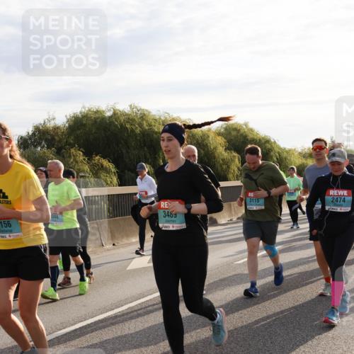 03.10.2024 - Köhlbrandbrückenlauf Miley Keyser http://msf.ph/oto/7158721 03.10.2024 09:23:46 Position 3 156, 3489, 3115, 2474 meine-sportfotos.de