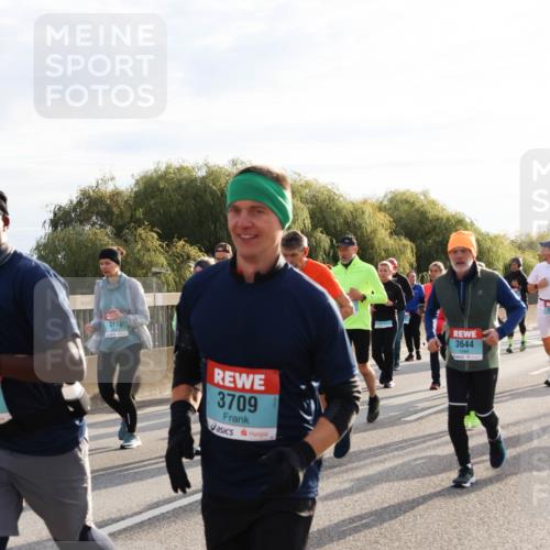 03.10.2024 - Köhlbrandbrückenlauf Miley Keyser http://msf.ph/oto/7158739 03.10.2024 09:23:50 Position 3 3110, 3709, 3644 meine-sportfotos.de
