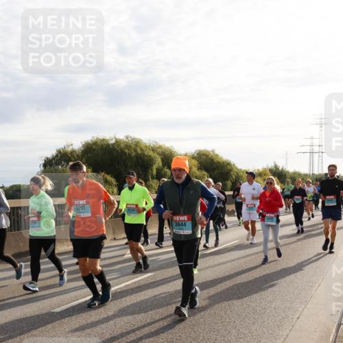 03.10.2024 - Köhlbrandbrückenlauf Miley Keyser http://msf.ph/oto/7158741 03.10.2024 09:23:51 Position 3 3207, 3144, 3499, 159, 3644, 2941 meine-sportfotos.de