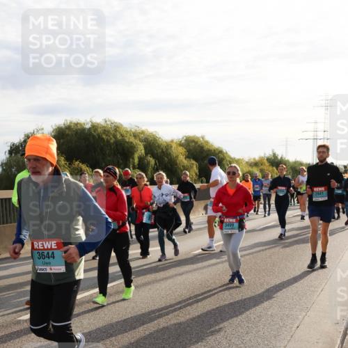 03.10.2024 - Köhlbrandbrückenlauf Miley Keyser http://msf.ph/oto/7158743 03.10.2024 09:23:52 Position 3 3644, 3499, 2941 meine-sportfotos.de