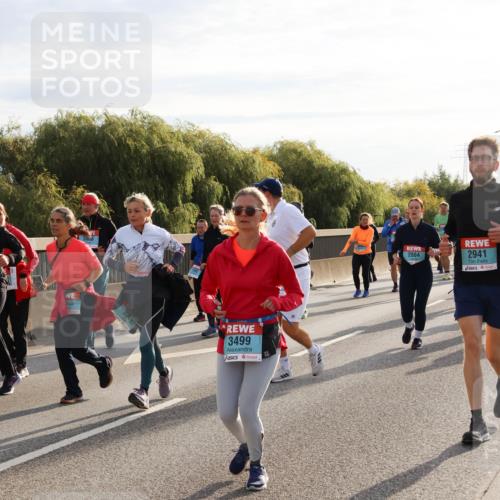 03.10.2024 - Köhlbrandbrückenlauf Miley Keyser http://msf.ph/oto/7158745 03.10.2024 09:23:53 Position 3 165, 3499, 2884, 2941 meine-sportfotos.de