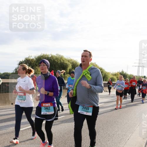 03.10.2024 - Köhlbrandbrückenlauf Miley Keyser http://msf.ph/oto/7158814 03.10.2024 09:24:21 Position 3 316, 3535, 3314, 3462, 3449 meine-sportfotos.de