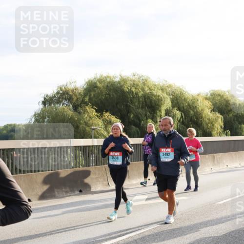 03.10.2024 - Köhlbrandbrückenlauf Miley Keyser http://msf.ph/oto/7163950 03.10.2024 09:24:55 Position 3 3492, 3538 meine-sportfotos.de
