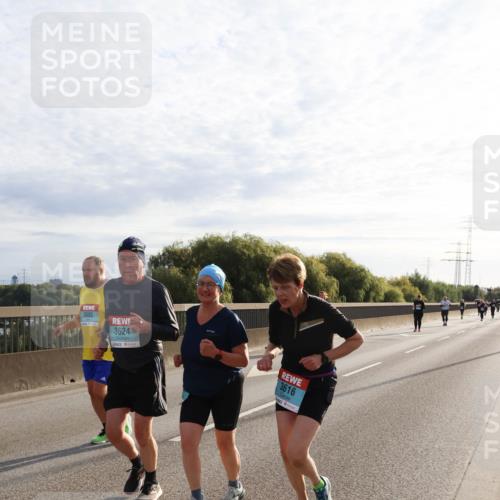 03.10.2024 - Köhlbrandbrückenlauf Miley Keyser http://msf.ph/oto/7164186 03.10.2024 09:25:17 Position 3 3685, 3624, 3616 meine-sportfotos.de