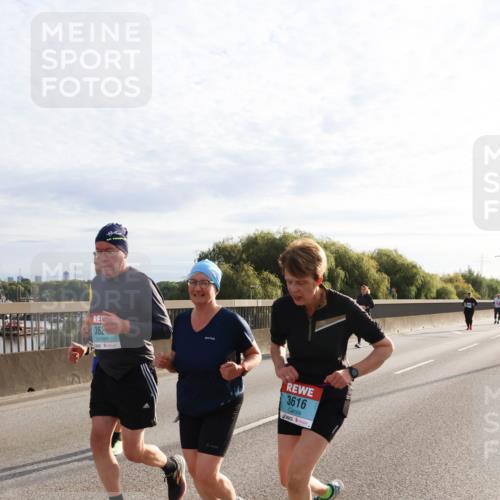03.10.2024 - Köhlbrandbrückenlauf Miley Keyser http://msf.ph/oto/7164193 03.10.2024 09:25:17 Position 3 362, 3616 meine-sportfotos.de