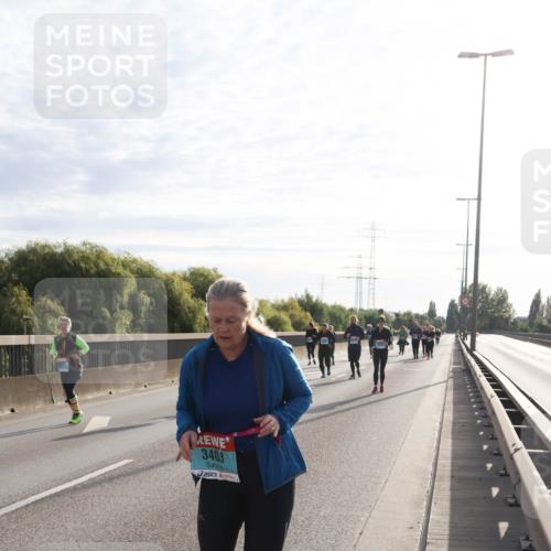 03.10.2024 - Köhlbrandbrückenlauf Miley Keyser http://msf.ph/oto/7164273 03.10.2024 09:25:34 Position 3 3403 meine-sportfotos.de