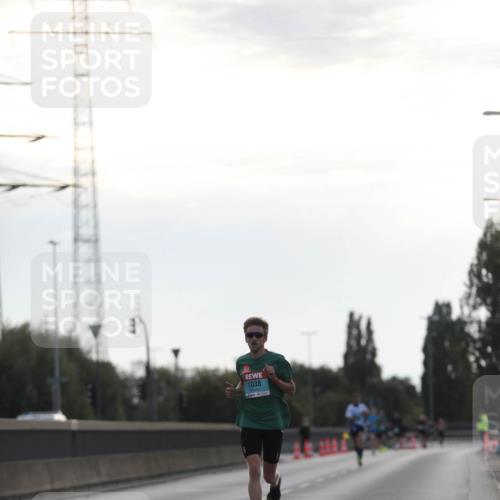 03.10.2024 - Köhlbrandbrückenlauf Fuchs,  Jonas http://msf.ph/oto/7166020 03.10.2024 09:09:31 Position 3 1038 meine-sportfotos.de