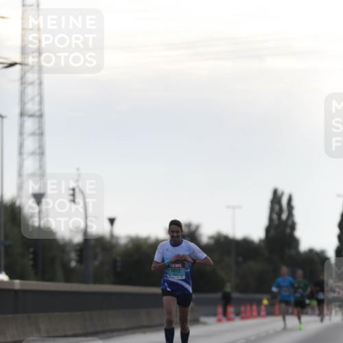 03.10.2024 - Köhlbrandbrückenlauf Fuchs,  Jonas http://msf.ph/oto/7166337 03.10.2024 09:09:40 Position 3 1012 meine-sportfotos.de