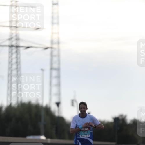03.10.2024 - Köhlbrandbrückenlauf Fuchs,  Jonas http://msf.ph/oto/7166485 03.10.2024 09:09:42 Position 3 1012 meine-sportfotos.de