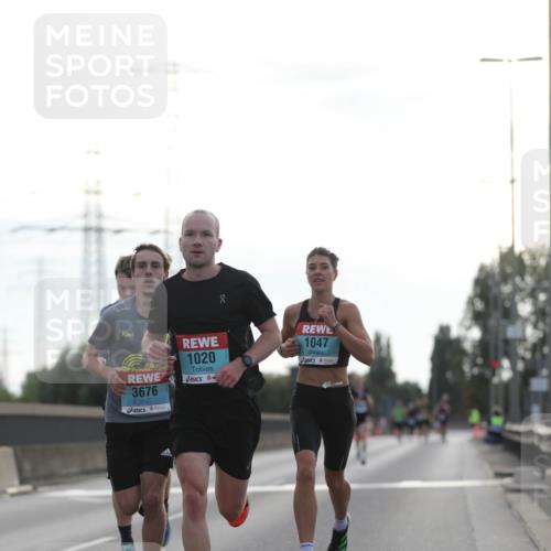 03.10.2024 - Köhlbrandbrückenlauf Fuchs,  Jonas http://msf.ph/oto/7167131 03.10.2024 09:10:06 Position 3 3676, 1020, 1047 meine-sportfotos.de