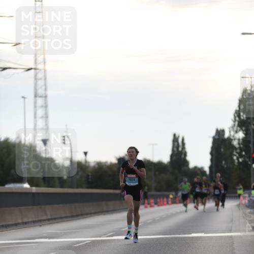 03.10.2024 - Köhlbrandbrückenlauf Fuchs,  Jonas http://msf.ph/oto/7167221 03.10.2024 09:10:10 Position 3 1024 meine-sportfotos.de