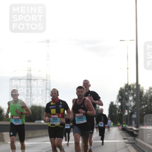 03.10.2024 - Köhlbrandbrückenlauf Fuchs,  Jonas http://msf.ph/oto/7167344 03.10.2024 09:10:26 Position 3 1018, 1054, 1063 meine-sportfotos.de