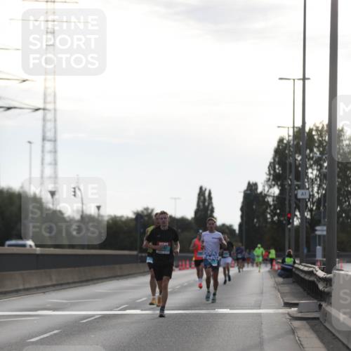 03.10.2024 - Köhlbrandbrückenlauf Fuchs,  Jonas http://msf.ph/oto/7167463 03.10.2024 09:10:32 Position 3  meine-sportfotos.de