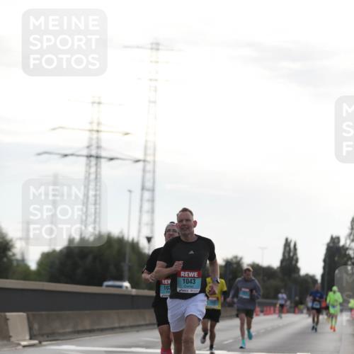 03.10.2024 - Köhlbrandbrückenlauf Fuchs,  Jonas http://msf.ph/oto/7167776 03.10.2024 09:10:44 Position 3 1, 103, 1043 meine-sportfotos.de