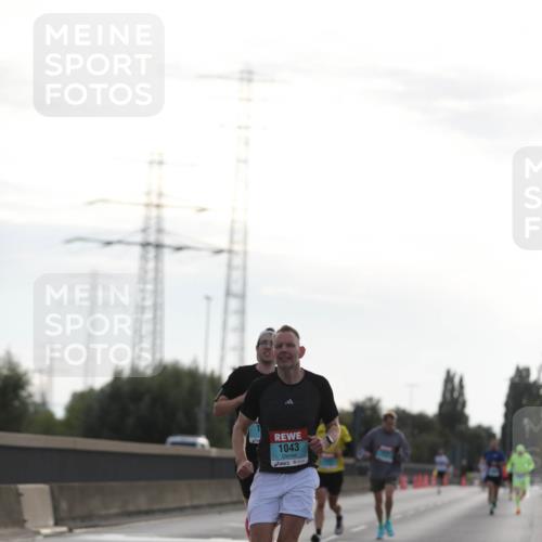 03.10.2024 - Köhlbrandbrückenlauf Fuchs,  Jonas http://msf.ph/oto/7167799 03.10.2024 09:10:44 Position 3 1043 meine-sportfotos.de