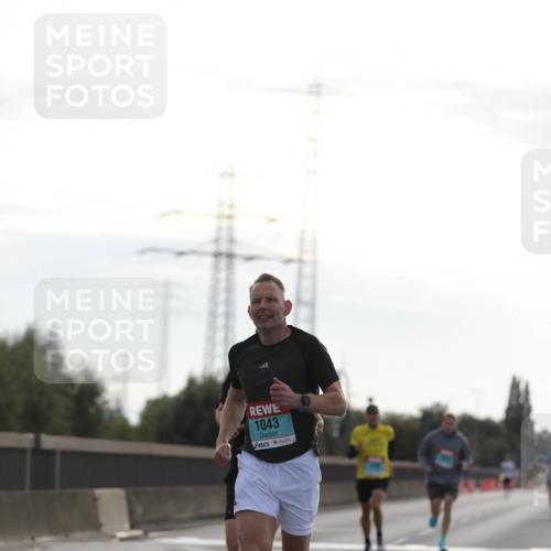 03.10.2024 - Köhlbrandbrückenlauf Fuchs,  Jonas http://msf.ph/oto/7167844 03.10.2024 09:10:45 Position 3 1043 meine-sportfotos.de