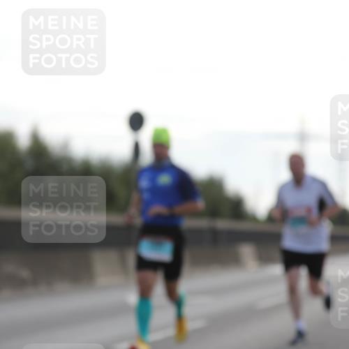 03.10.2024 - Köhlbrandbrückenlauf Fuchs,  Jonas http://msf.ph/oto/7169806 03.10.2024 09:11:29 Position 3  meine-sportfotos.de