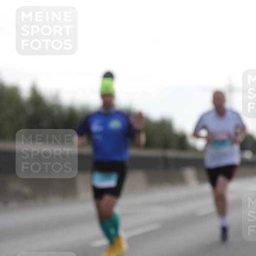 03.10.2024 - Köhlbrandbrückenlauf Fuchs,  Jonas http://msf.ph/oto/7169811 03.10.2024 09:11:30 Position 3  meine-sportfotos.de