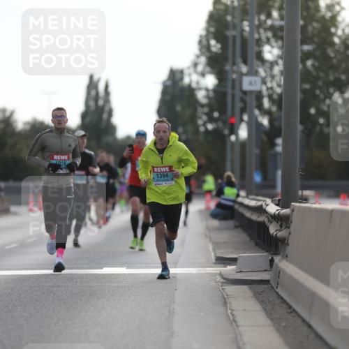 03.10.2024 - Köhlbrandbrückenlauf Fuchs,  Jonas http://msf.ph/oto/7169898 03.10.2024 09:11:34 Position 3 1016, 1394 meine-sportfotos.de