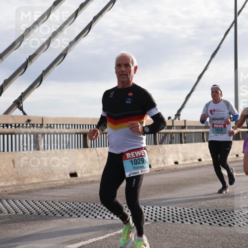 03.10.2024 - Köhlbrandbrückenlauf Matties Gatica Varas http://msf.ph/oto/7171793 03.10.2024 09:21:42 Position 2 1029, 4, 1529, 1260, 1198 meine-sportfotos.de