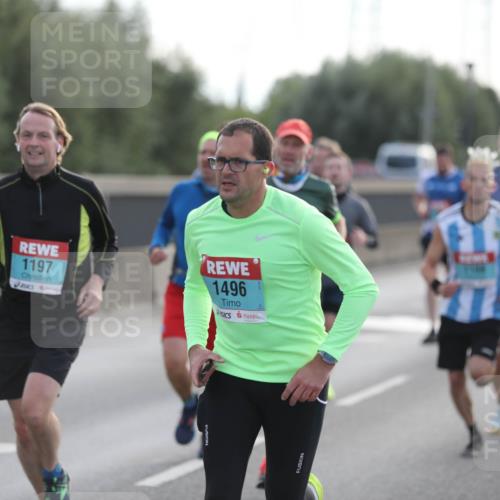 03.10.2024 - Köhlbrandbrückenlauf Fuchs,  Jonas http://msf.ph/oto/7172793 03.10.2024 09:12:32 Position 3 1197, 1496 meine-sportfotos.de
