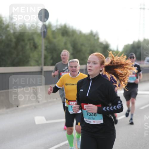 03.10.2024 - Köhlbrandbrückenlauf Fuchs,  Jonas http://msf.ph/oto/7173061 03.10.2024 09:12:42 Position 3 1538 meine-sportfotos.de