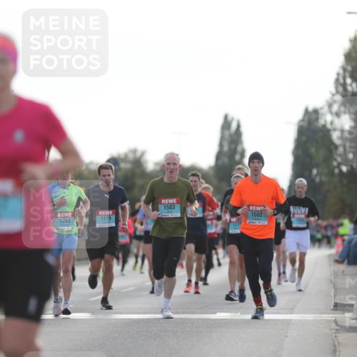 03.10.2024 - Köhlbrandbrückenlauf Fuchs,  Jonas http://msf.ph/oto/7173928 03.10.2024 09:13:06 Position 3 1478, 1503, 1263, 1179, 1370, 1502, 1 meine-sportfotos.de