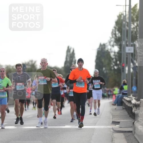 03.10.2024 - Köhlbrandbrückenlauf Fuchs,  Jonas http://msf.ph/oto/7173932 03.10.2024 09:13:06 Position 3 1263, 1179, 1503, 1442, 1502, 137, 1 meine-sportfotos.de