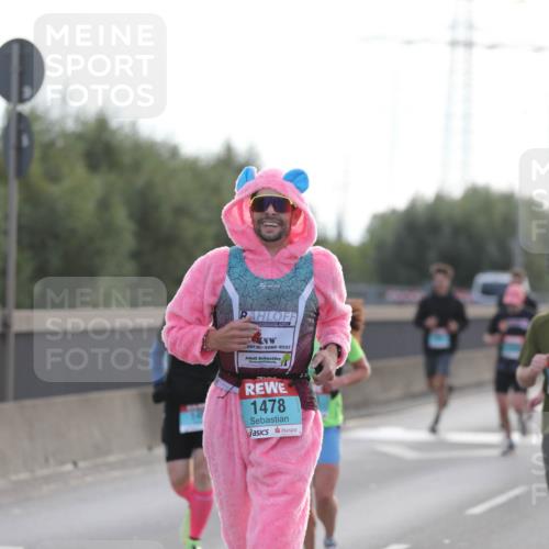 03.10.2024 - Köhlbrandbrückenlauf Fuchs,  Jonas http://msf.ph/oto/7173971 03.10.2024 09:13:11 Position 3 1478, 1503 meine-sportfotos.de