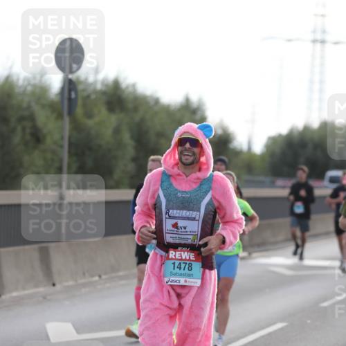 03.10.2024 - Köhlbrandbrückenlauf Fuchs,  Jonas http://msf.ph/oto/7173983 03.10.2024 09:13:11 Position 3 1503, 1478 meine-sportfotos.de
