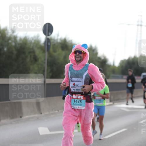 03.10.2024 - Köhlbrandbrückenlauf Fuchs,  Jonas http://msf.ph/oto/7173993 03.10.2024 09:13:11 Position 3 1478, 1793, 1503 meine-sportfotos.de