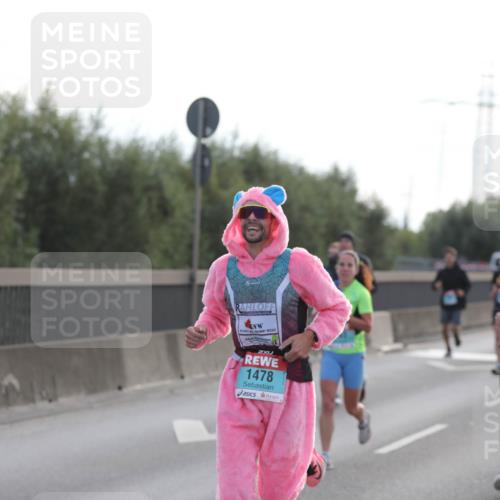 03.10.2024 - Köhlbrandbrückenlauf Fuchs,  Jonas http://msf.ph/oto/7174006 03.10.2024 09:13:11 Position 3 1478 meine-sportfotos.de