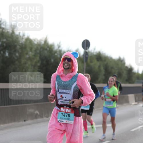 03.10.2024 - Köhlbrandbrückenlauf Fuchs,  Jonas http://msf.ph/oto/7174055 03.10.2024 09:13:12 Position 3 1503, 1478 meine-sportfotos.de