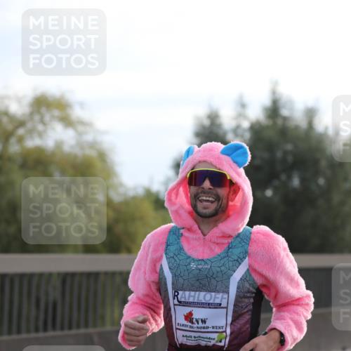 03.10.2024 - Köhlbrandbrückenlauf Fuchs,  Jonas http://msf.ph/oto/7174105 03.10.2024 09:13:12 Position 3  meine-sportfotos.de