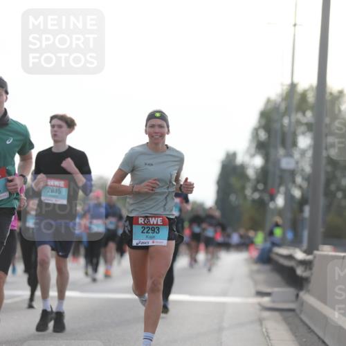 03.10.2024 - Köhlbrandbrückenlauf Fuchs,  Jonas http://msf.ph/oto/7175397 03.10.2024 09:13:58 Position 3 1911, 2035, 2293 meine-sportfotos.de