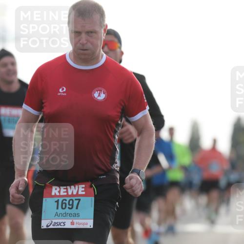 03.10.2024 - Köhlbrandbrückenlauf Fuchs,  Jonas http://msf.ph/oto/7177618 03.10.2024 09:14:51 Position 3 1697 meine-sportfotos.de