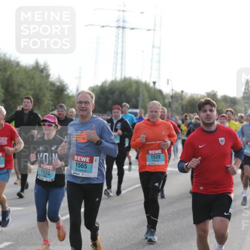 03.10.2024 - Köhlbrandbrückenlauf Fuchs,  Jonas http://msf.ph/oto/7179177 03.10.2024 09:15:25 Position 3 1984, 1703, 1686, 1565, 1539, 1525 meine-sportfotos.de